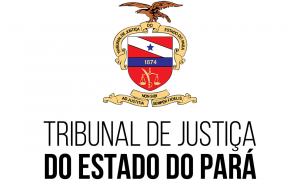 Concurso TJ PA tem banca definida! Vagas para níveis médio e superior!