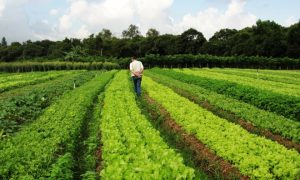 Concurso SMATED MT: Comissão formada! VEJA AQUI!