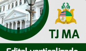 Edital verticalizado TJ MA 2019: baixe e organize-se!