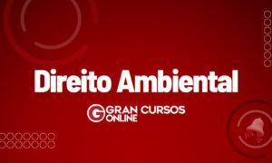 Direito Ambiental: confira o que é e quais são seus princípios