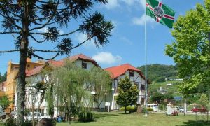 Concurso Prefeitura Salvador do Sul RS: Edital com 20 vagas! Confira!