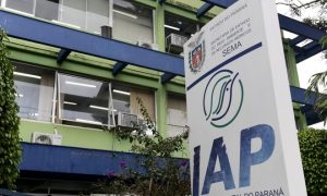 Concurso IAP PR: banca definida para 151 vagas! Veja!
