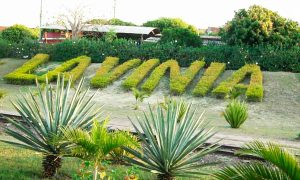 Concurso Prefeitura de Lavínia SP: Edital oferece 15 vagas!