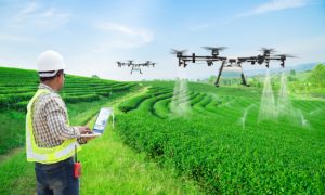 Concurso EMATER PA: Estatuto determina contratações por certames