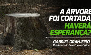 A árvore foi cortada. Haverá esperança?