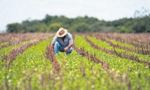 Processo Seletivo da SEDAP PA oferta 10 vagas! CONFIRA!