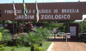 Concurso Zoológico de Brasília: Confira novas movimentações!