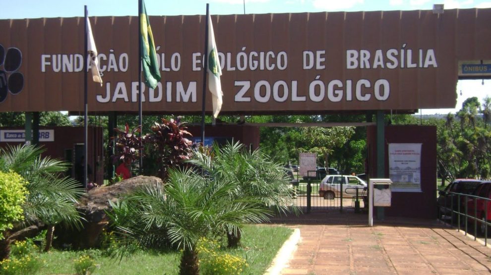 Concurso Zoológico de Brasília confira possíveis vagas!