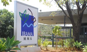 Concurso IBAMA: publicará edital! 1.481 vagas! VEJA!