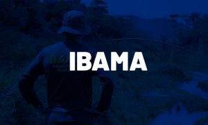 Concurso Ibama: saiba o que faz um Técnico Ambiental