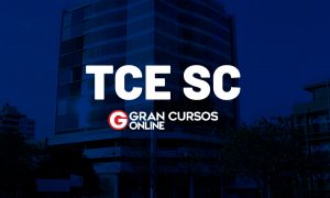 TCE-SC – Auditor Fiscal de Controle Externo – Ciências Contábeis. Contabilidade Geral. Comentários da Prova.