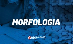 Morfologia: principais conceitos e exercícios para você!