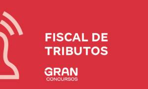 Fiscal de tributos: o que faz, salário e atuação 