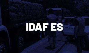 Concurso IDAF ES está previsto na LOA 2022!