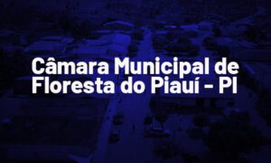 Concurso Floresta do Piauí PI: TCE recomenda edital. VEJA!