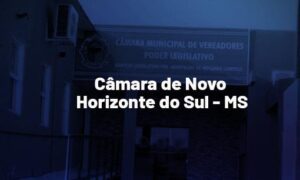 Concurso Câmara Novo Horizonte do Sul MS: saiu edital de nível superior. VEJA!