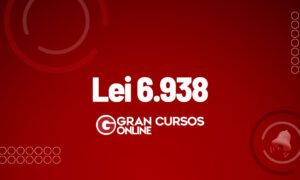O que diz a Lei 6938 de 1981?