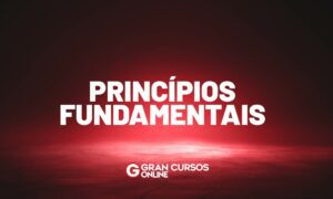 Entenda os princípios fundamentais da Constituição Federal