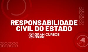 Responsabilidade Civil do Estado: saiba tudo aqui!