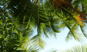 Concurso Politec BA: inscrições abertas!