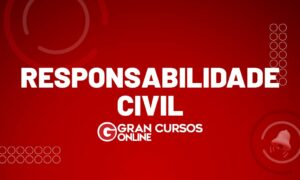 Responsabilidade civil: veja o que é e todos os tipos