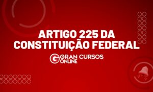 O que diz o Artigo 225 da Constituição Federal?