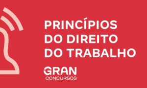 Princípios do Direito do Trabalho: conheça 6 princípios