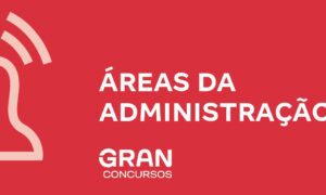 Confira as principais áreas da administração e suas funções