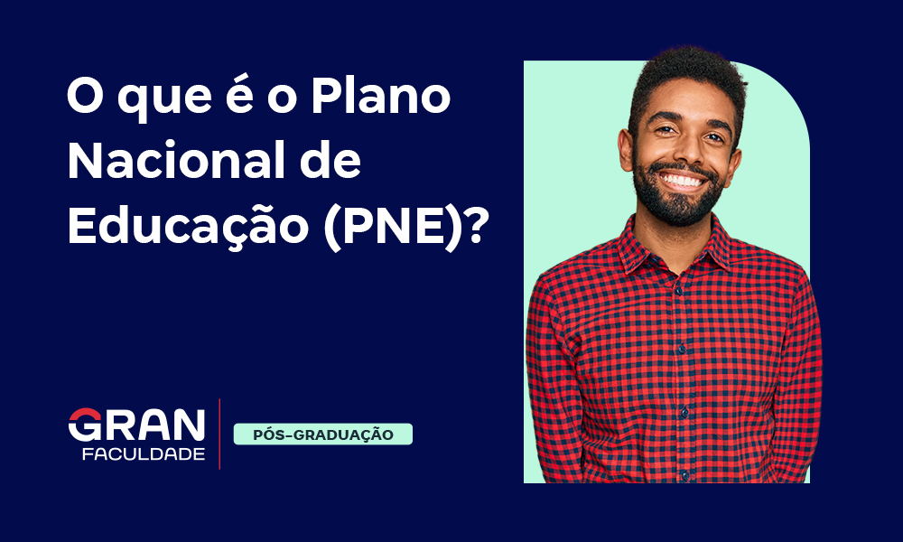 Plano Nacional De Educação (PNE): O Que é E Quais As Metas?