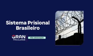 Sistema Prisional Brasileiro: entenda como funciona!