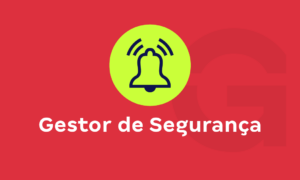 Gestor de segurança: conheça a profissão!