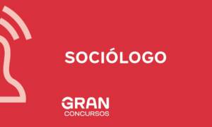 Sociólogo: o que faz, mercado de trabalho e salário