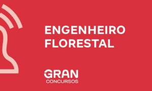 Engenheiro florestal: o que faz e salário