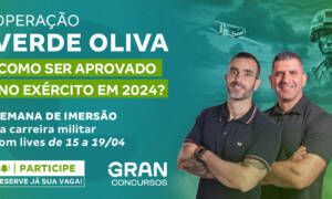 Concursos Exército: como ser aprovado em 2024?