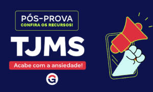 Recursos TJ MS: confira os comentários e os prazos!