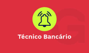 Técnico bancário: saiba tudo sobre a profissão