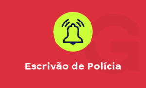 Escrivão de Polícia: conheça a profissão