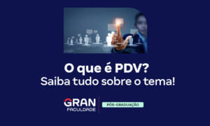 O que é PDV? Saiba tudo sobre o tema!