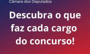 Concurso da Câmara dos Deputados: cargos e funções